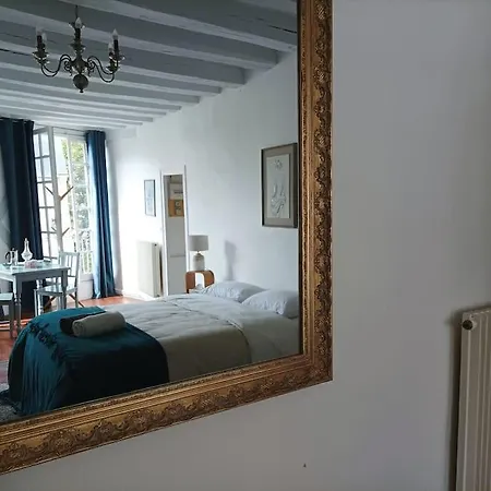 Le Magnifique En Plein Centre Historique Апартаменты *