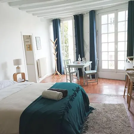Apartment Le Magnifique En Plein Centre Historique Le Mans